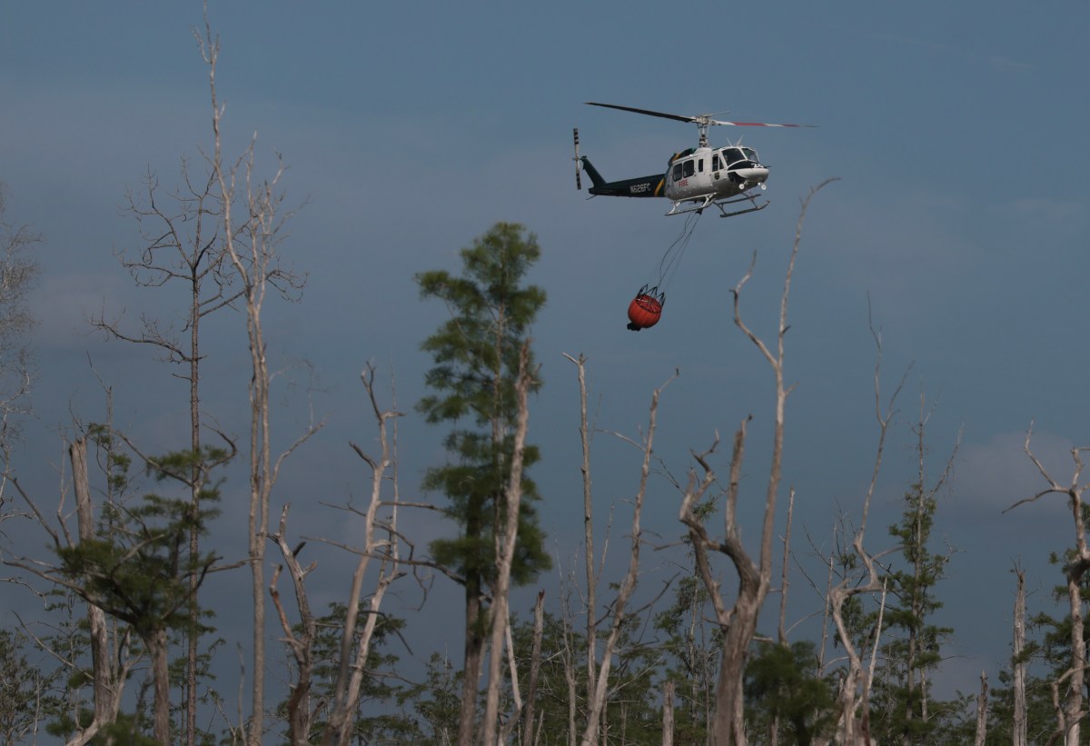 Florida Wildfires: A Dire Warning Amid Unprecedented Drought