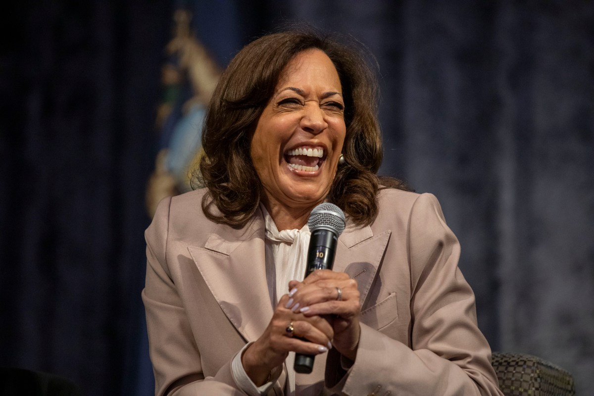 Kamala Harris Warns 'Mob Boss' Donald Trump Has 'Eroded' US Power