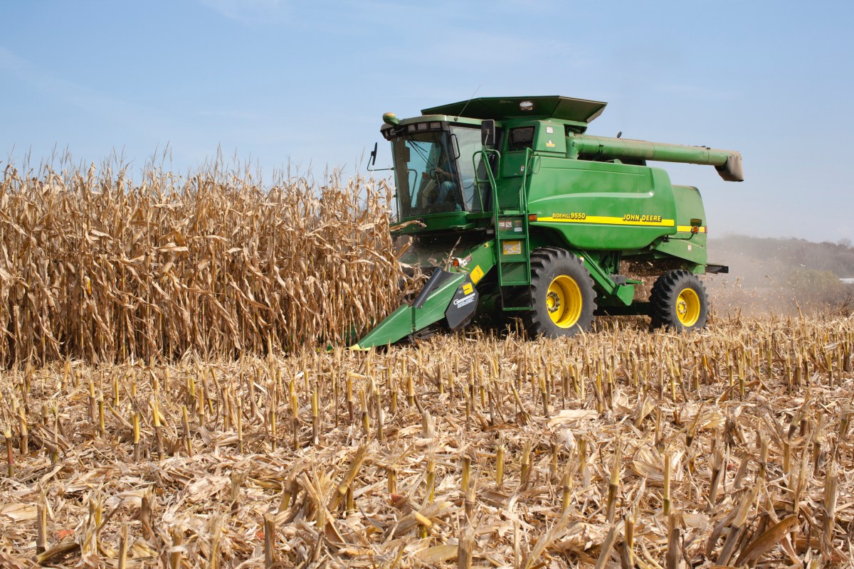 How Rising Corn Prices Could Push U.S. Food Inflation Higher