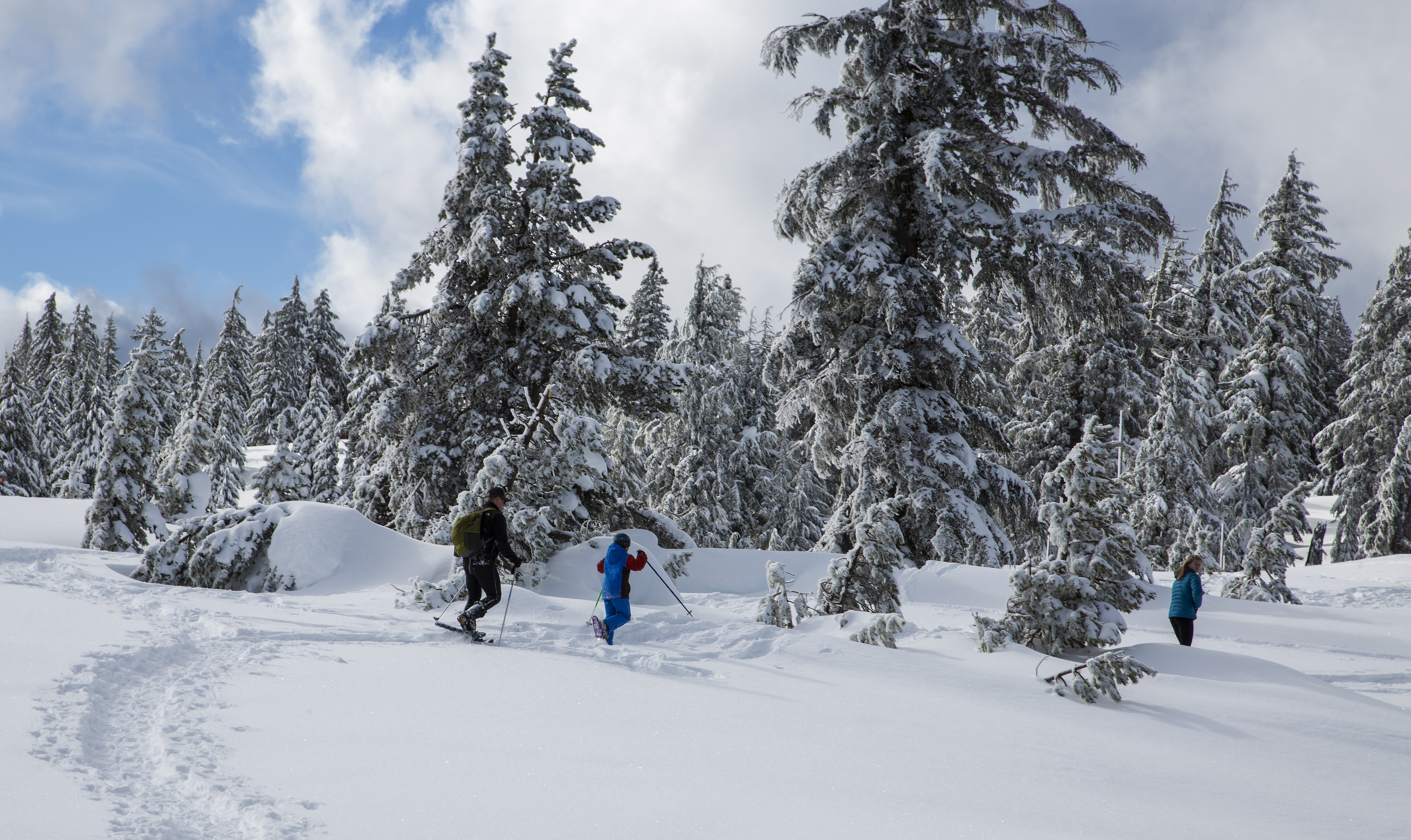 Heavy Snow Warning As 30 Inches To Strike: 'Consider Delaying All Travel'
