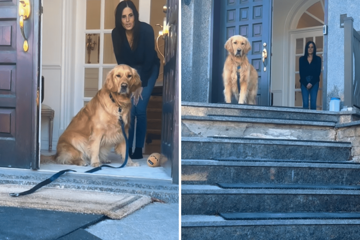 Golden Retriever Refuses To Leave Grandma&mdash;Then Family Gets Devastating News