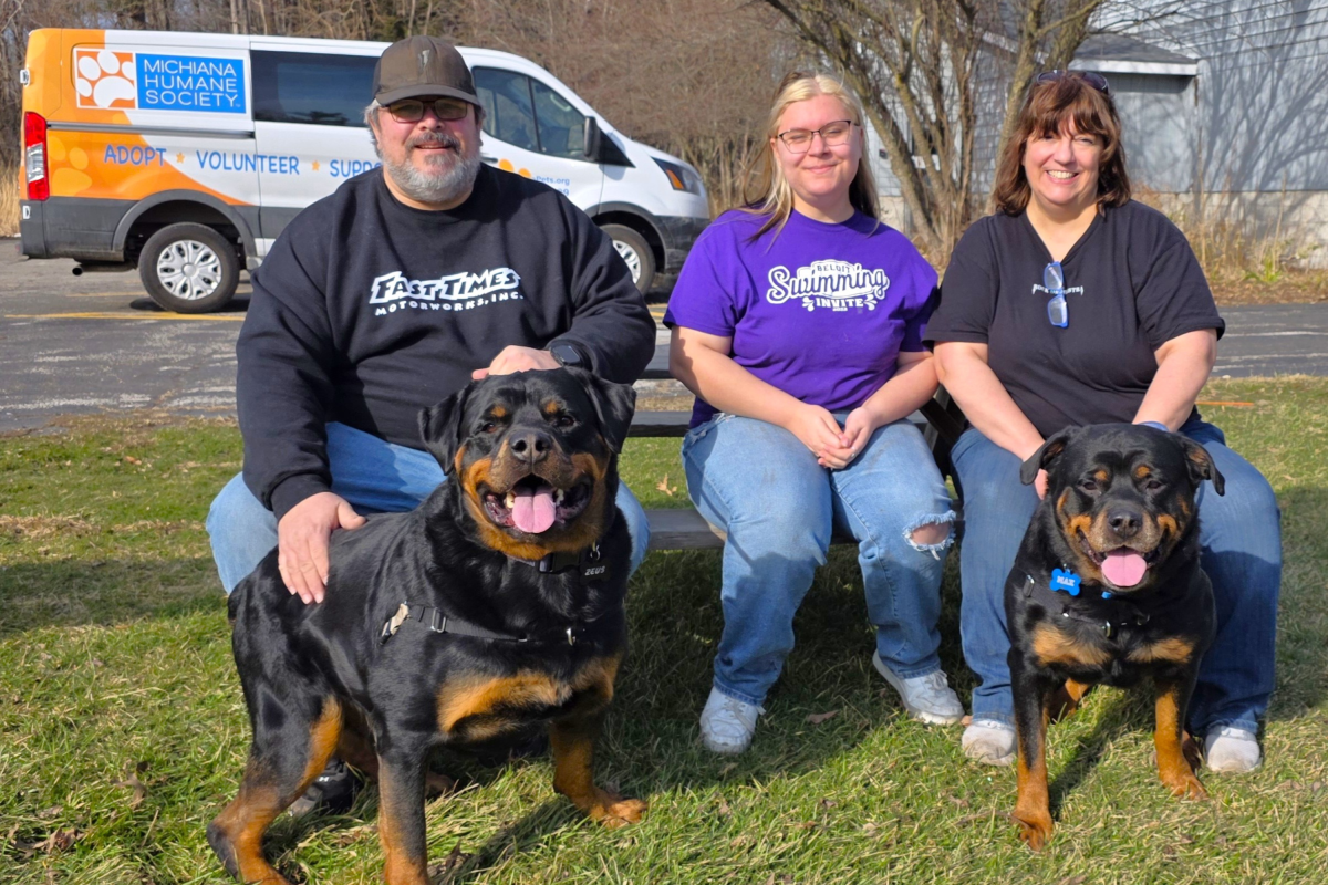 Shelter's 250-pound father-son duo finally finds a home—together