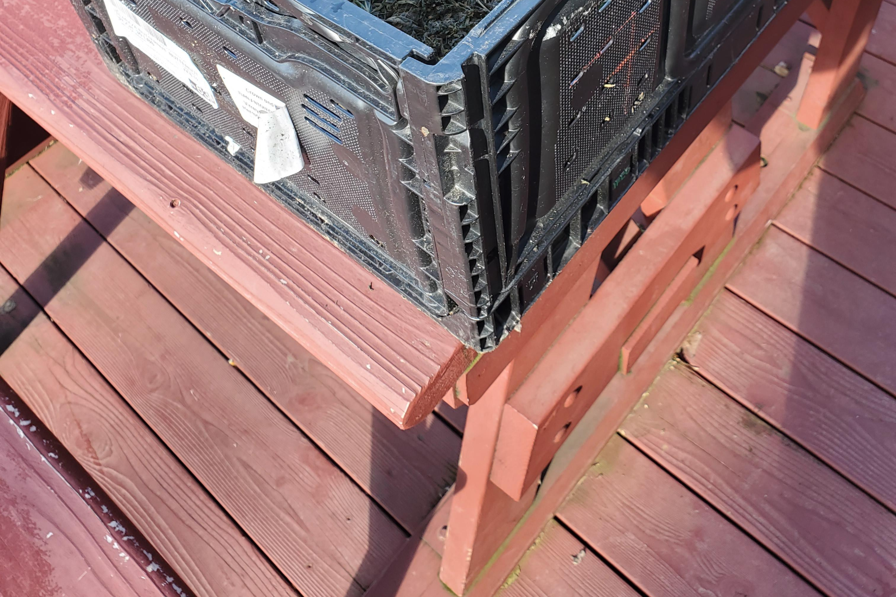 Cafe Owner Finds Crate Outside Shop—Then Sees What's Inside