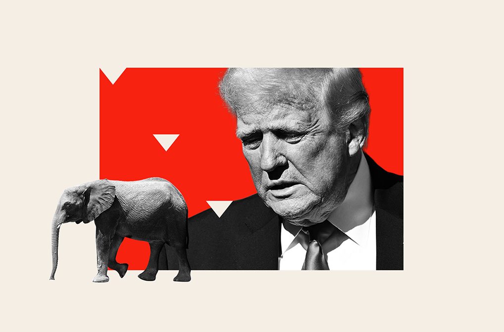 The 50% Cliff: Trump's Approval Ratings Among Republicans Facing Uncertain Waters