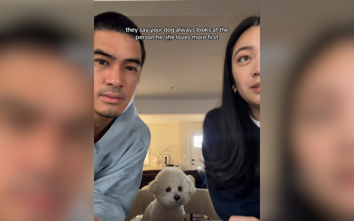 Couple Conduct Test to See Who Is Dog's Favorite—There's a Clear Winner