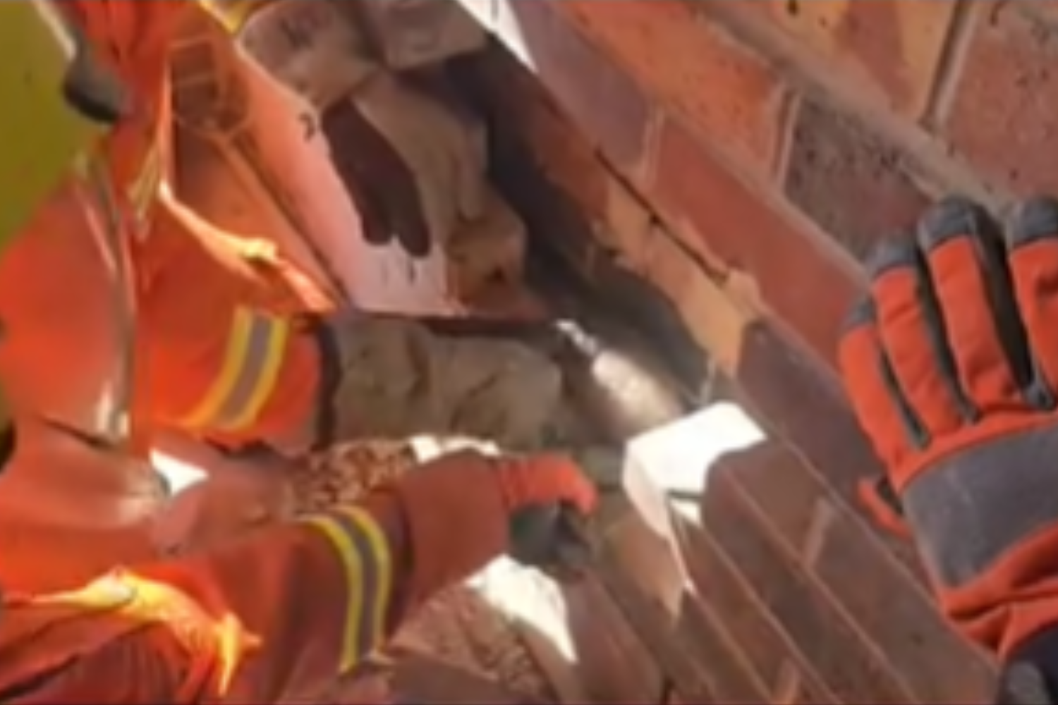 Family Hear Something in the Walls—Not Prepared for What Fire Service Find