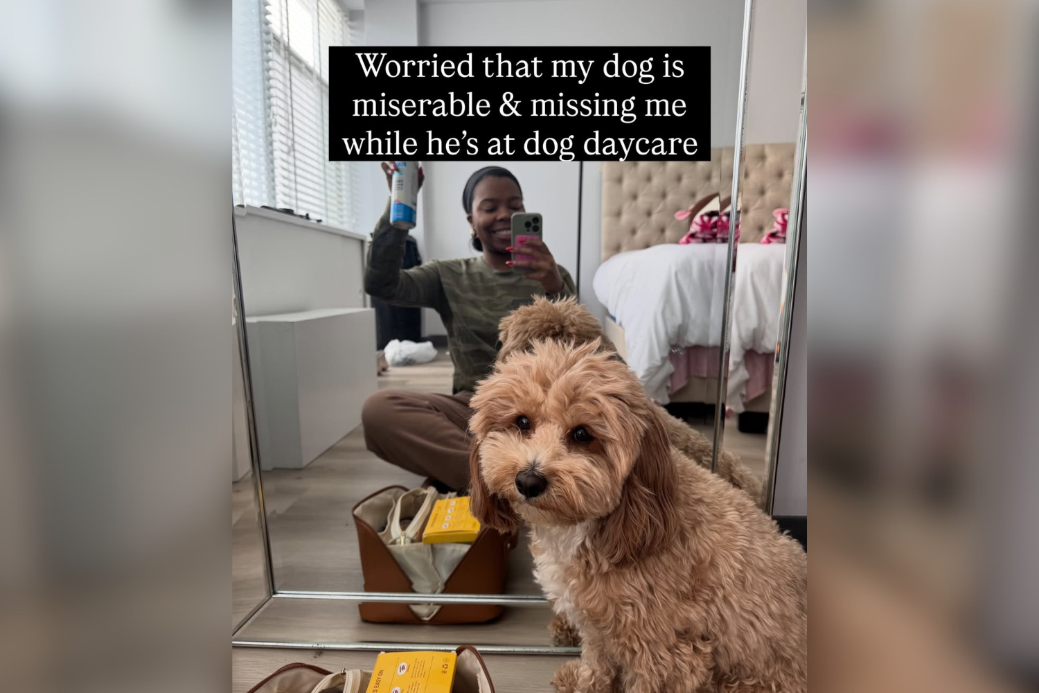 Owner Was Worried Dog Was ‘Miserable’ at Day Care—Then She Saw the Pictures