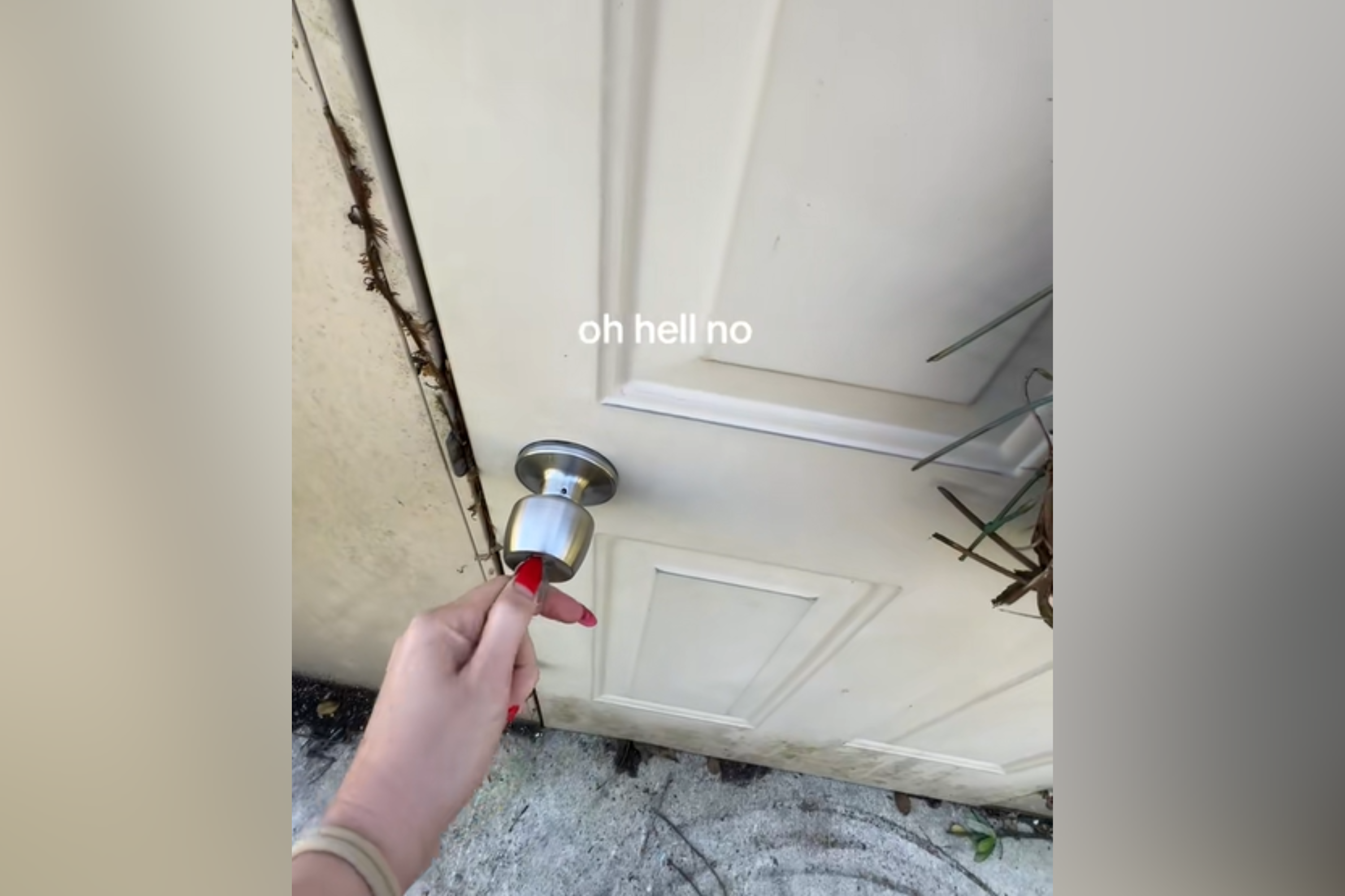 ‘Independent’ Woman Plans To Mow Own Lawn—Horror When She Opens the Shed