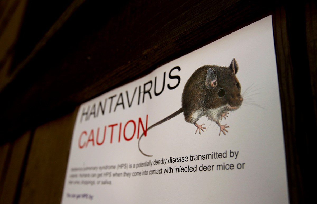 Three Dead After Suspected Hantavirus Outbreak on Cruise Ship