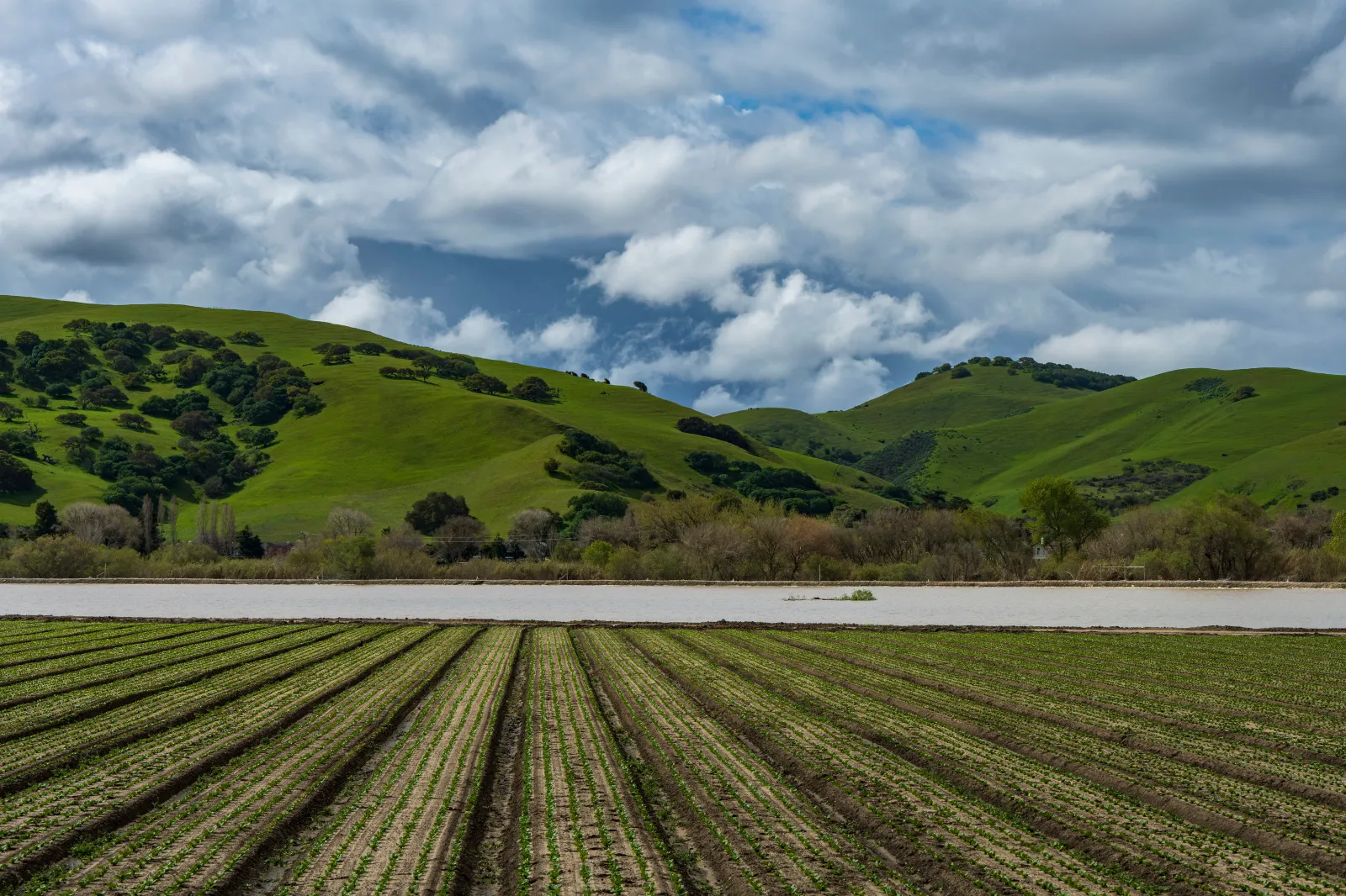 Floodwaters from the Salinas River fill agricultural fields in Spreckels, California, on March 13, 2023.
