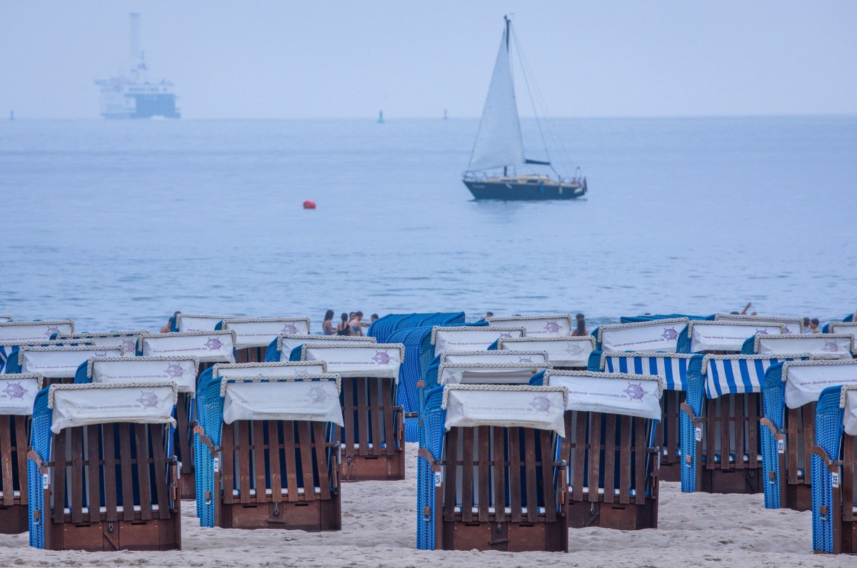 Summer Travel Season Risks: Ebola, Mpox, and Flesh-Eating Parasites