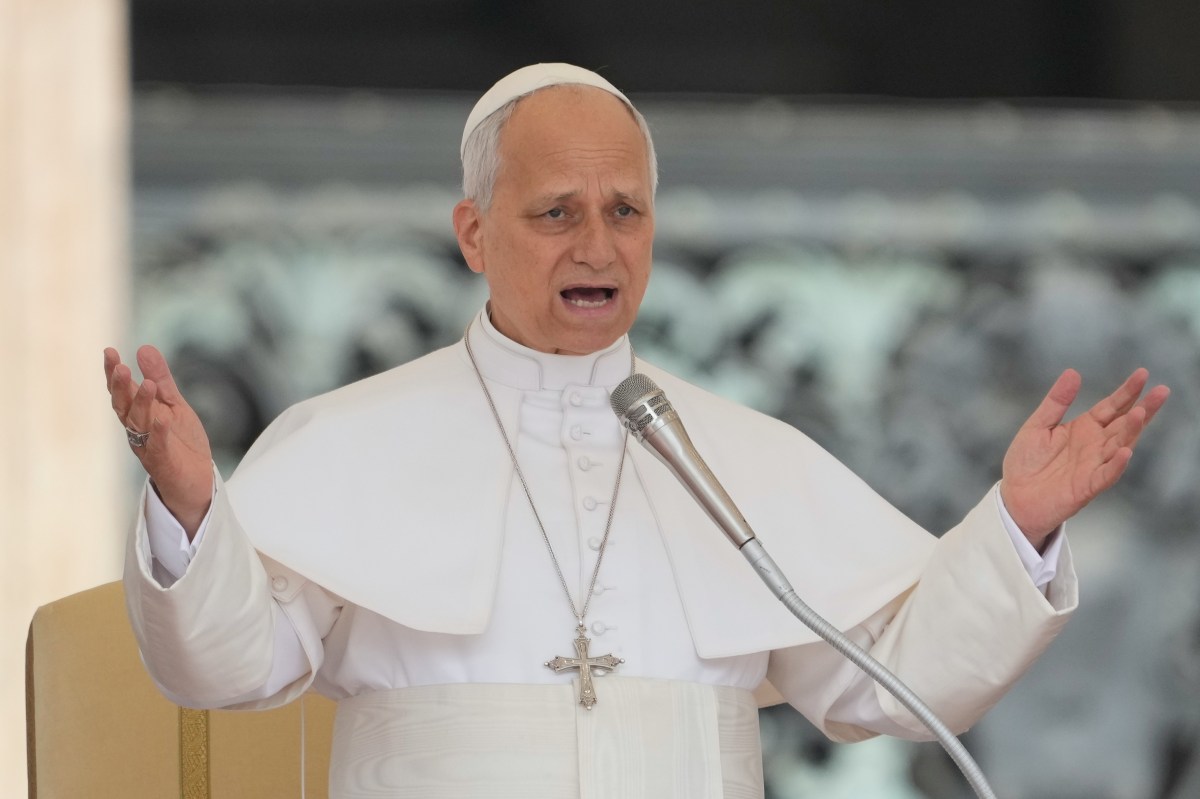 Pope Leo’s Brother Plays Down Fights With MAGA Sibling