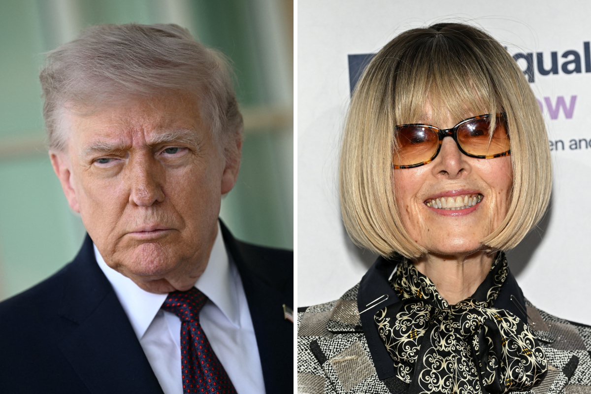 Donald Trump Moves to Freeze Paying $83 Million to E. Jean Carroll