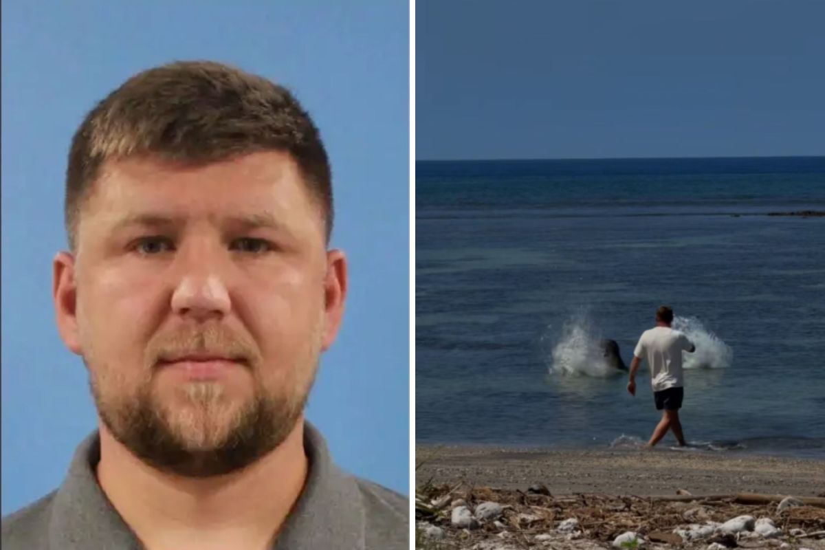 Who is Igor Lytvynchuk? Tourist Accused of Throwing Rock at Endangered Seal