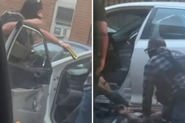 Video Shows ICE Arrest That Sparked Hospital Protests