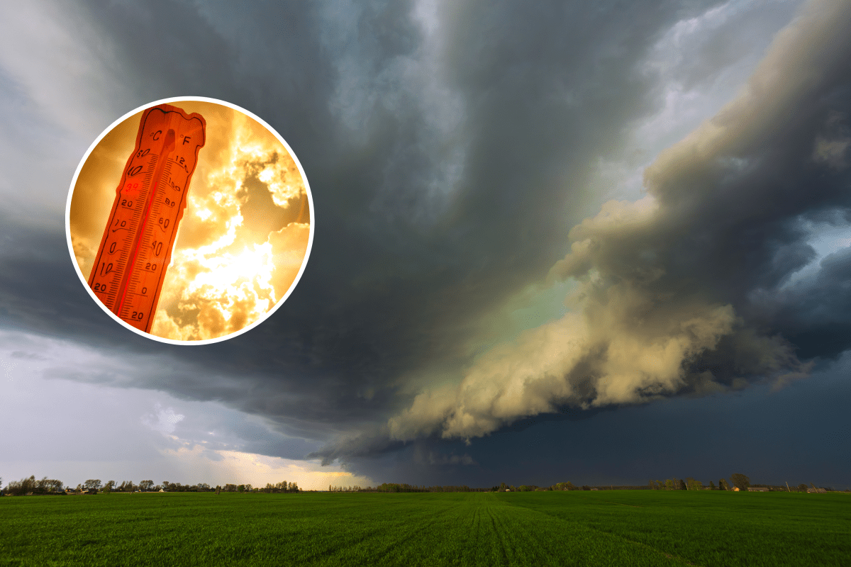 El Niño Chances Skyrocket as US Impacts Expected Next Month