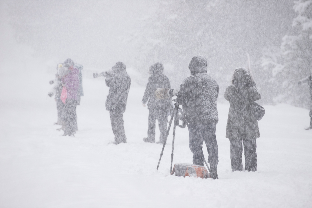 Heavy Snow Alert As 6 Inches To Hit Montana: Hypothermia Risk