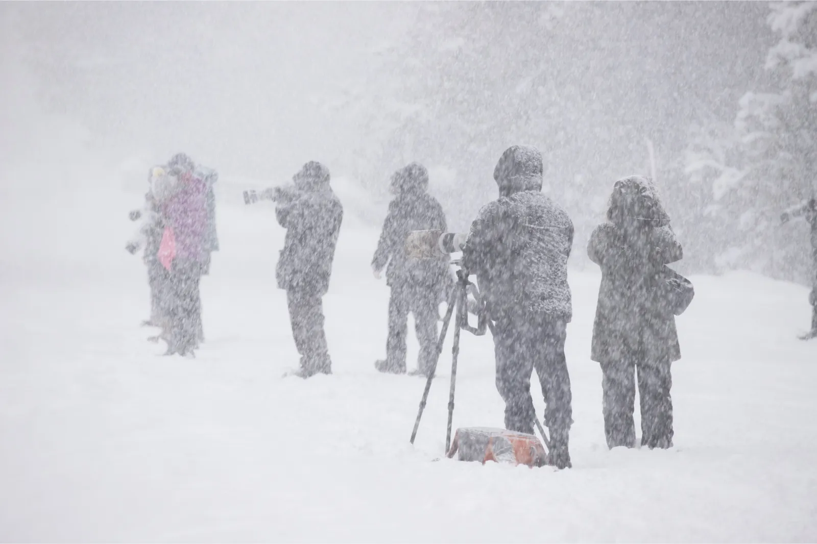 Heavy Snow Warning As 6 Inches To Hit Montana: 'Hazardous Conditions ...
