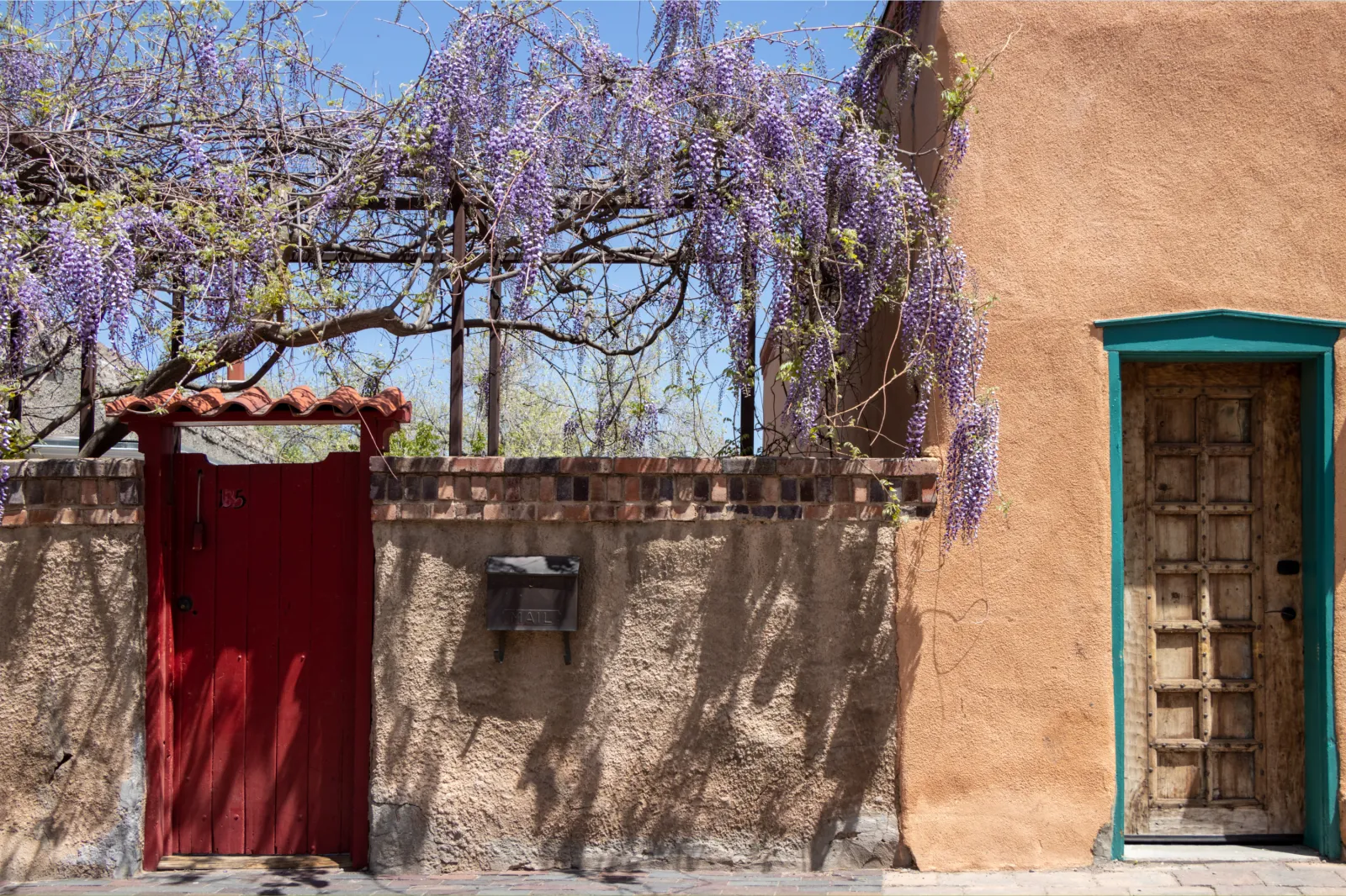 Wisteria hanging over a garden entrance in Santa Fe, New Mexico, in May 2022.