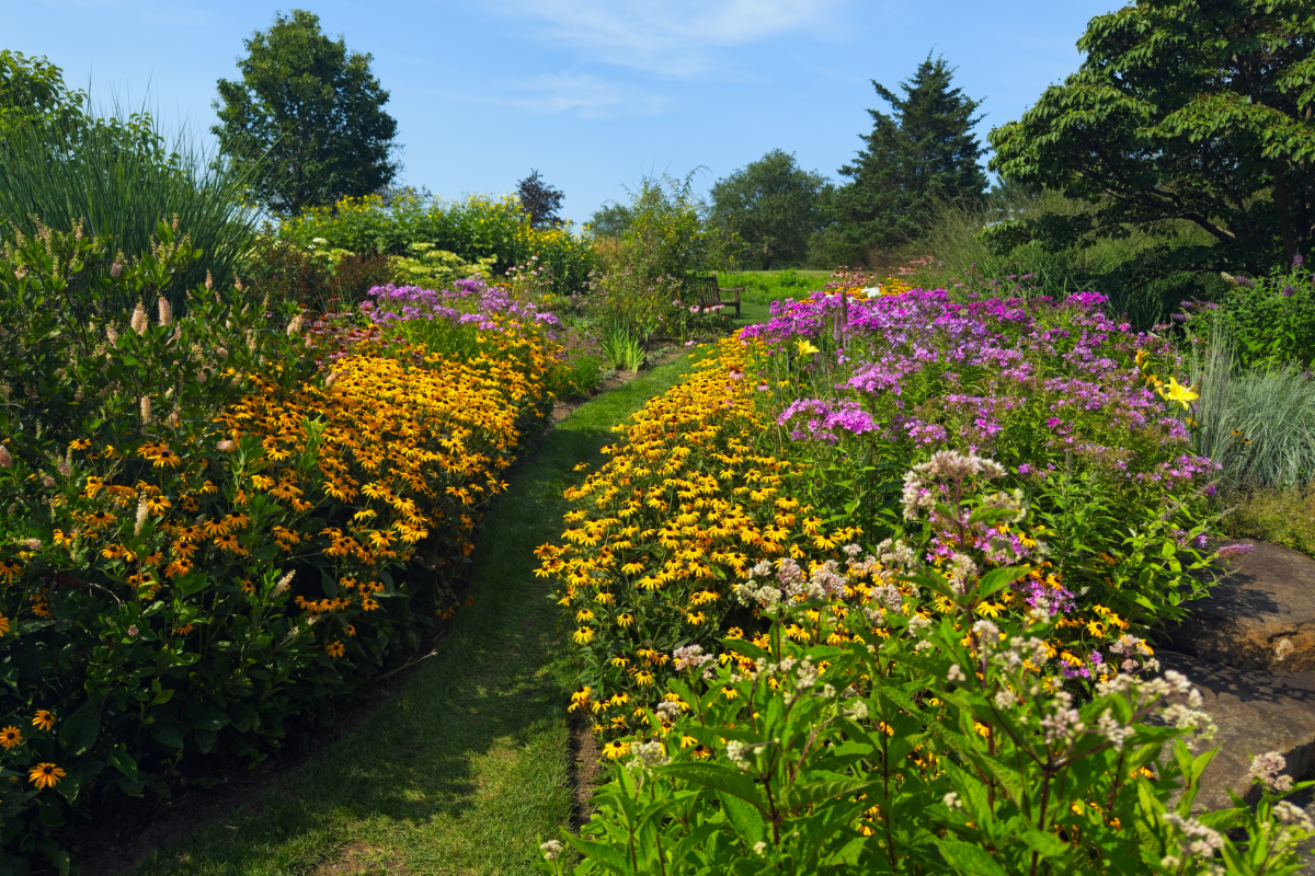 Old Farmer&rsquo;s Almanac Issues Advice to Gardeners Ahead of Dry Summer