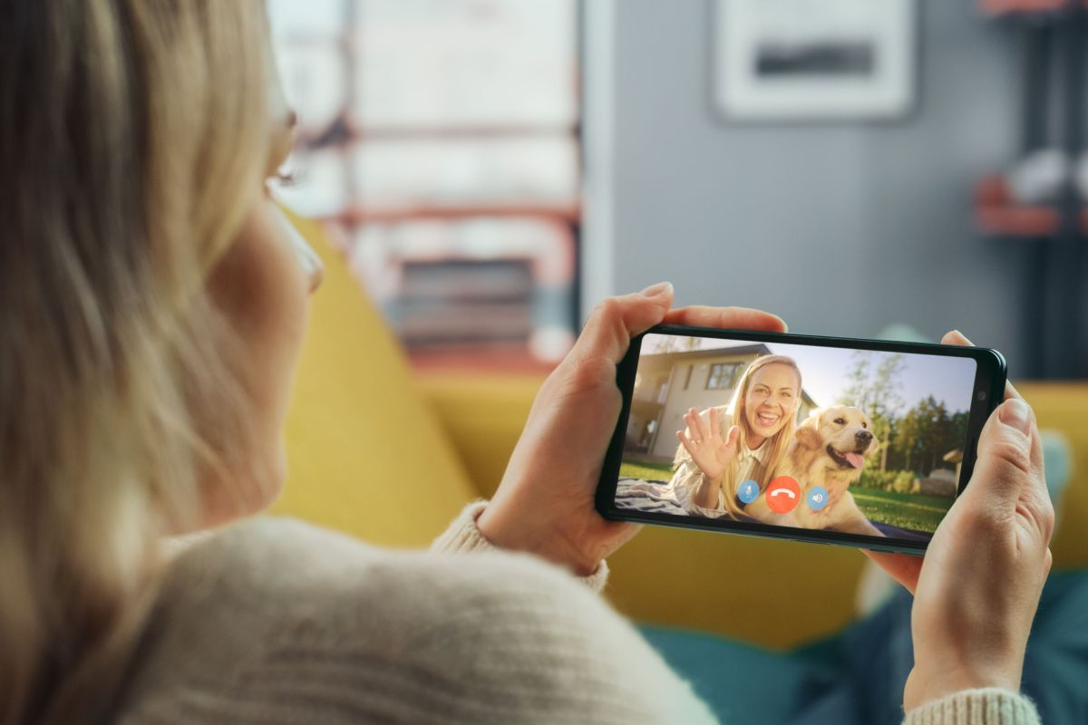 Dogs Recognize Your Voice on FaceTime—And That May Be the Problem
