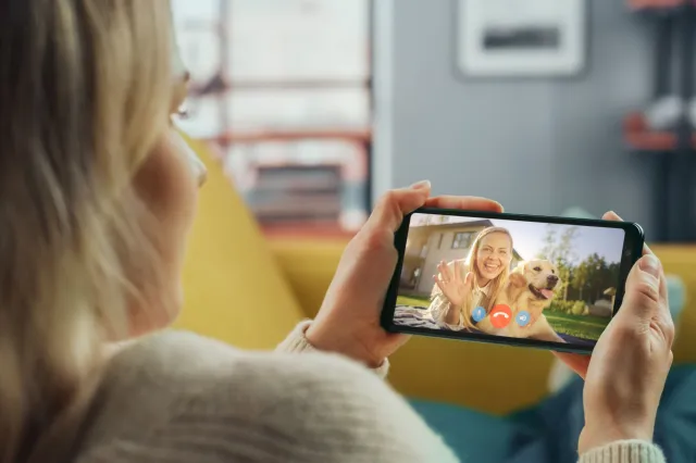 Dogs Recognize Your Voice on FaceTime—And That May Be the Problem