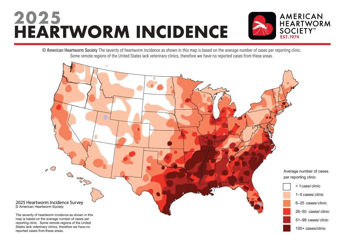Map Shows New Heartworm Hotspots for Dog Owners Across US