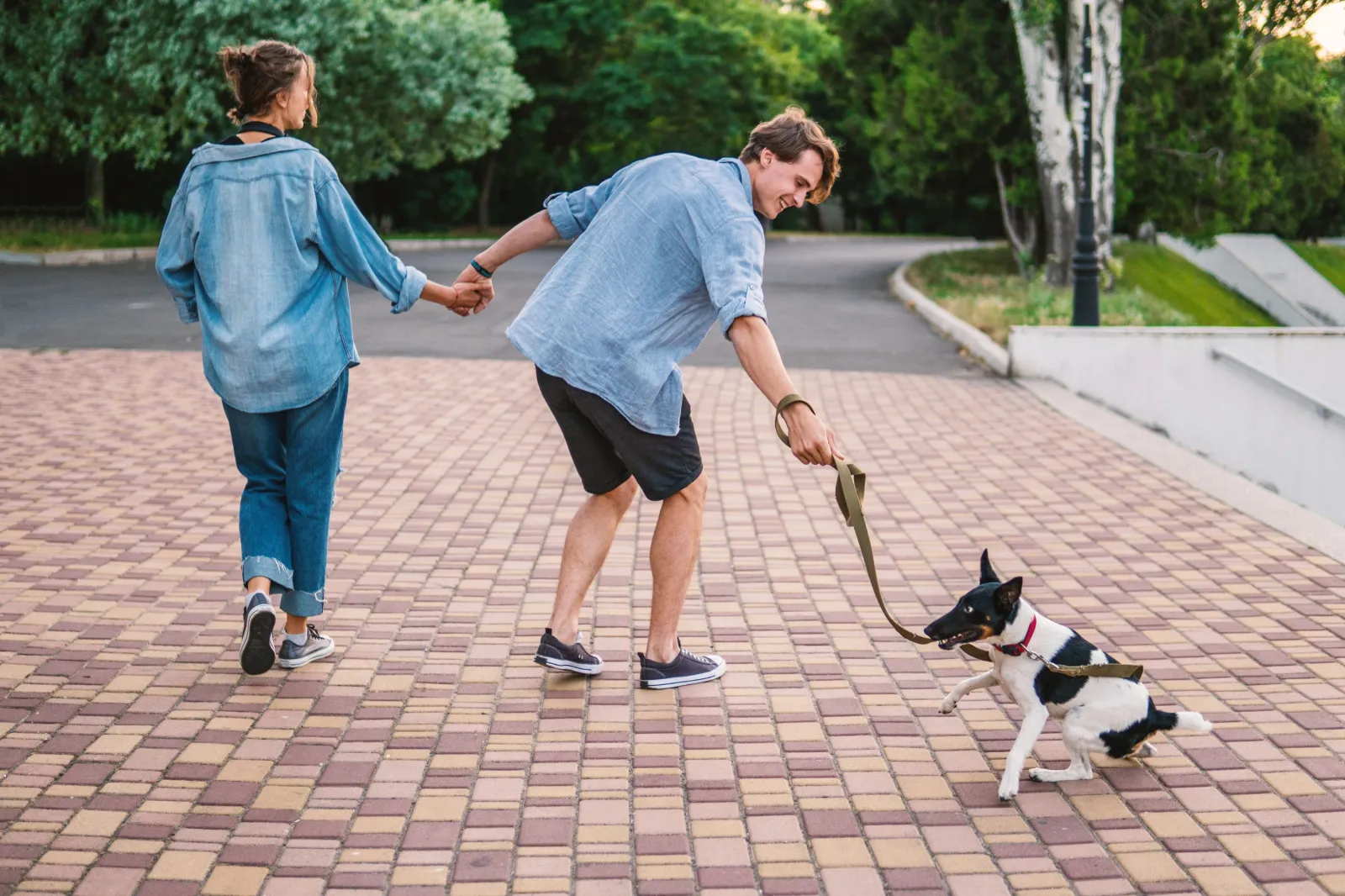 Couple walks dog