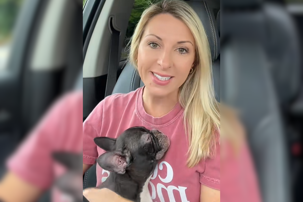 Woman Finds Abandoned French Bulldog Puppy—Then She Notices His Skin