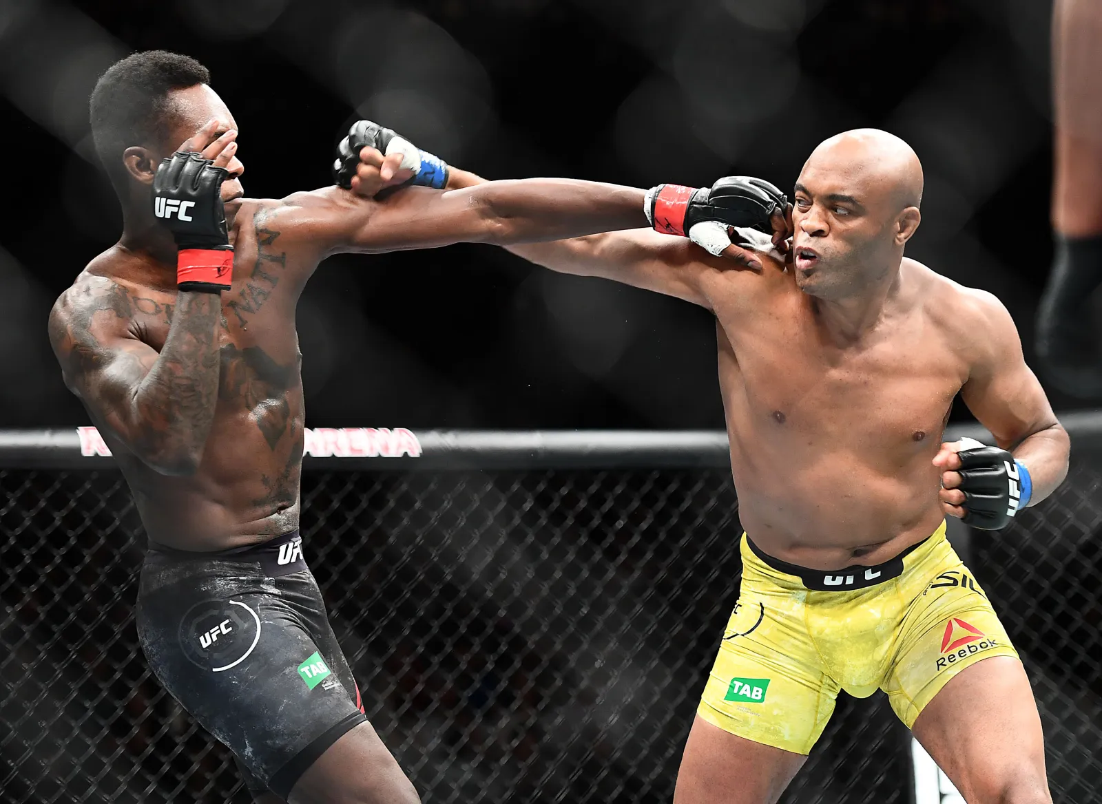 UFC Hall of Famer Anderson Silva