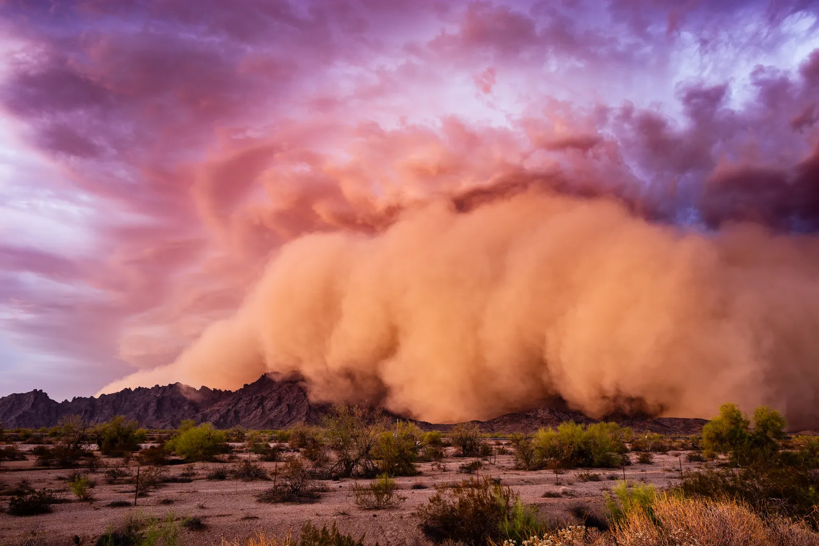 A stock image of a dust storm. A 