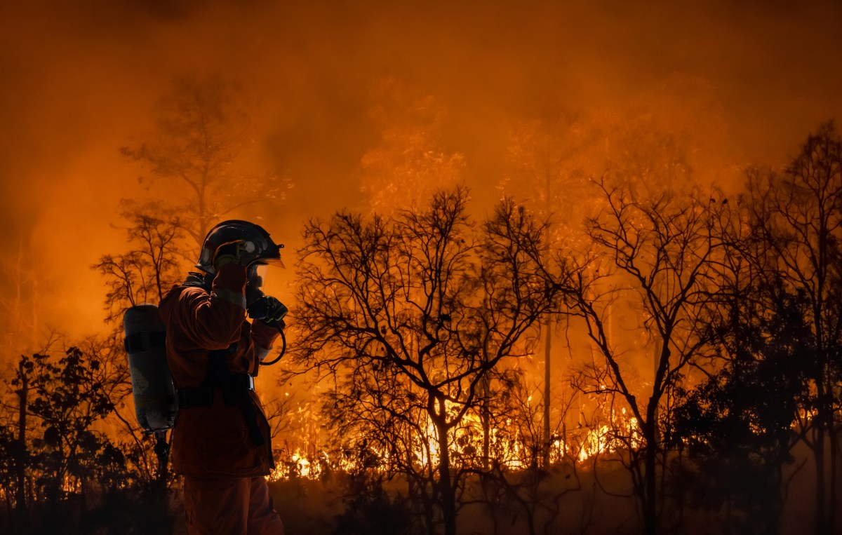 'Significant' Wildfire Risk as Extreme Heat Hits California, Arizona: Map