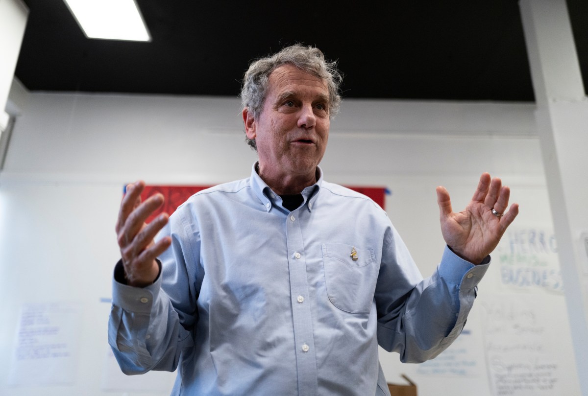 Sherrod Brown's Chances of Beating Husted in Ohio After Primary Win—Polls