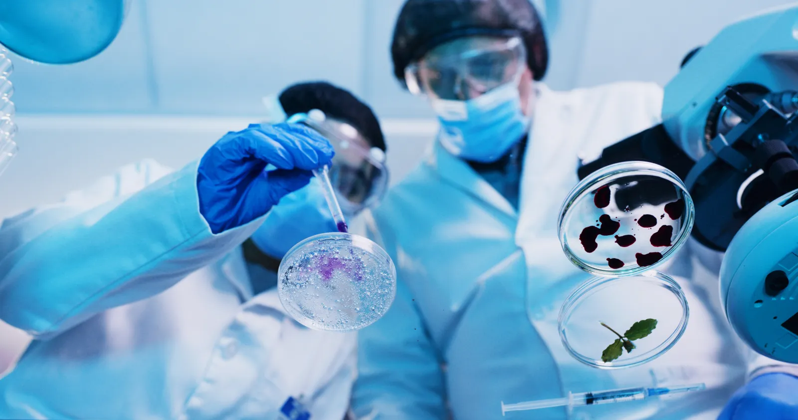 Un'immagine stock di scienziati che testano campioni per un esperimento.