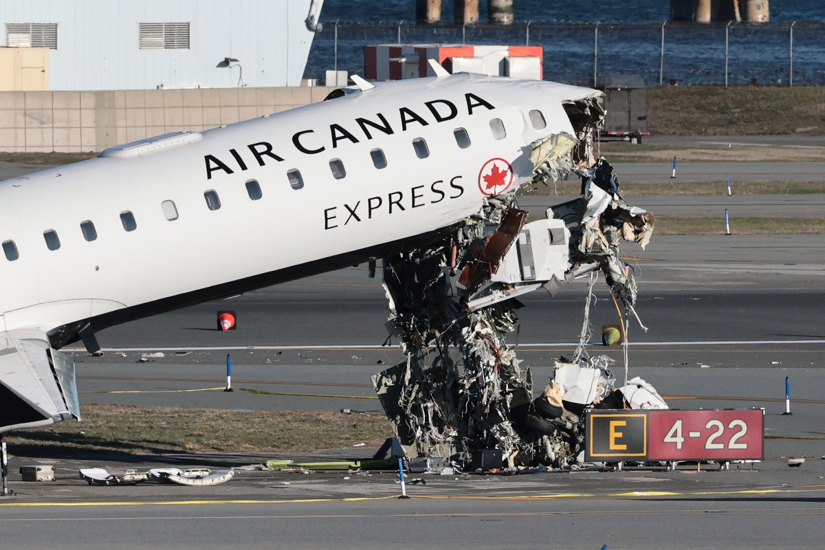 Five Killed In Texas Plane Crash: What To Know
