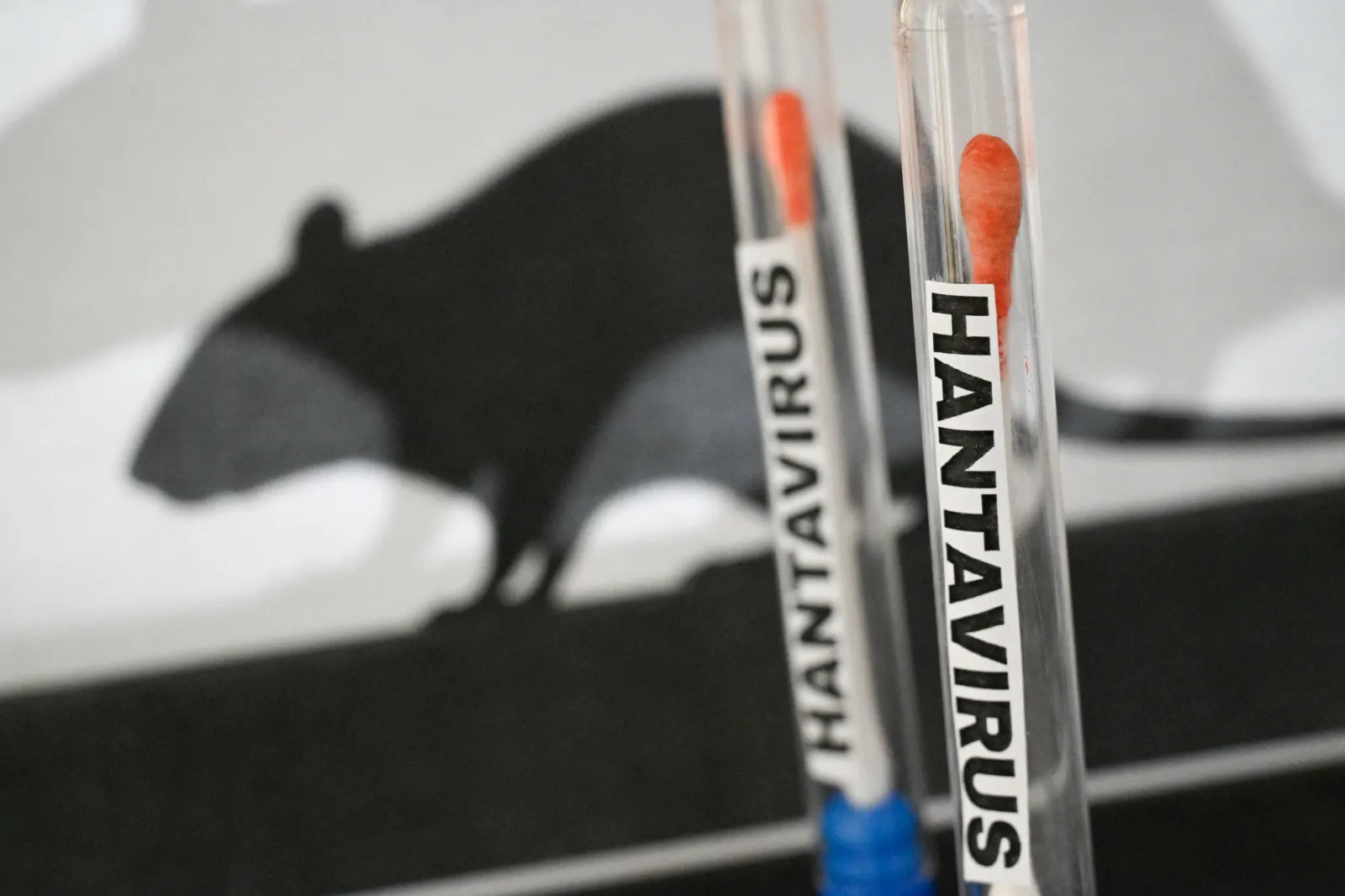 Hantavirus Outbreak: A Critical Look at CDC Readiness Amid Government Challenges