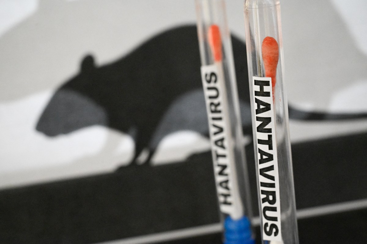 Hantavirus Arrives as Health Officials Sound Alarm on Trump Admin Readiness Hantavirus Arrives as Health Officials Sound Alarm on Trump Admin Readiness