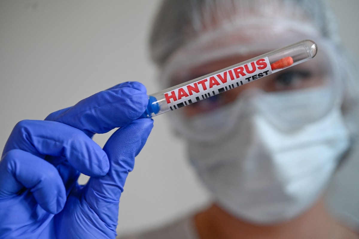 Understanding the Hantavirus Case at Geneva High School: What You Should Know