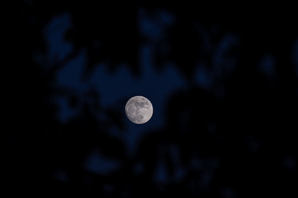 Blue Moon May 2026: Best Locations, Times to View Rare Micromoon