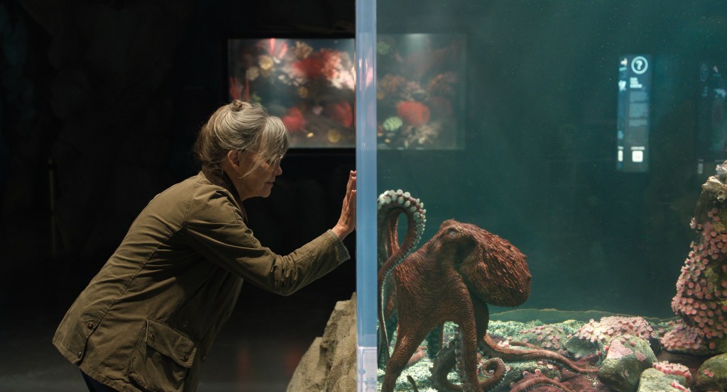 Sally Field on 'Remarkably Bright Creatures' and Why She Isn't Done Yet -  Newsweek