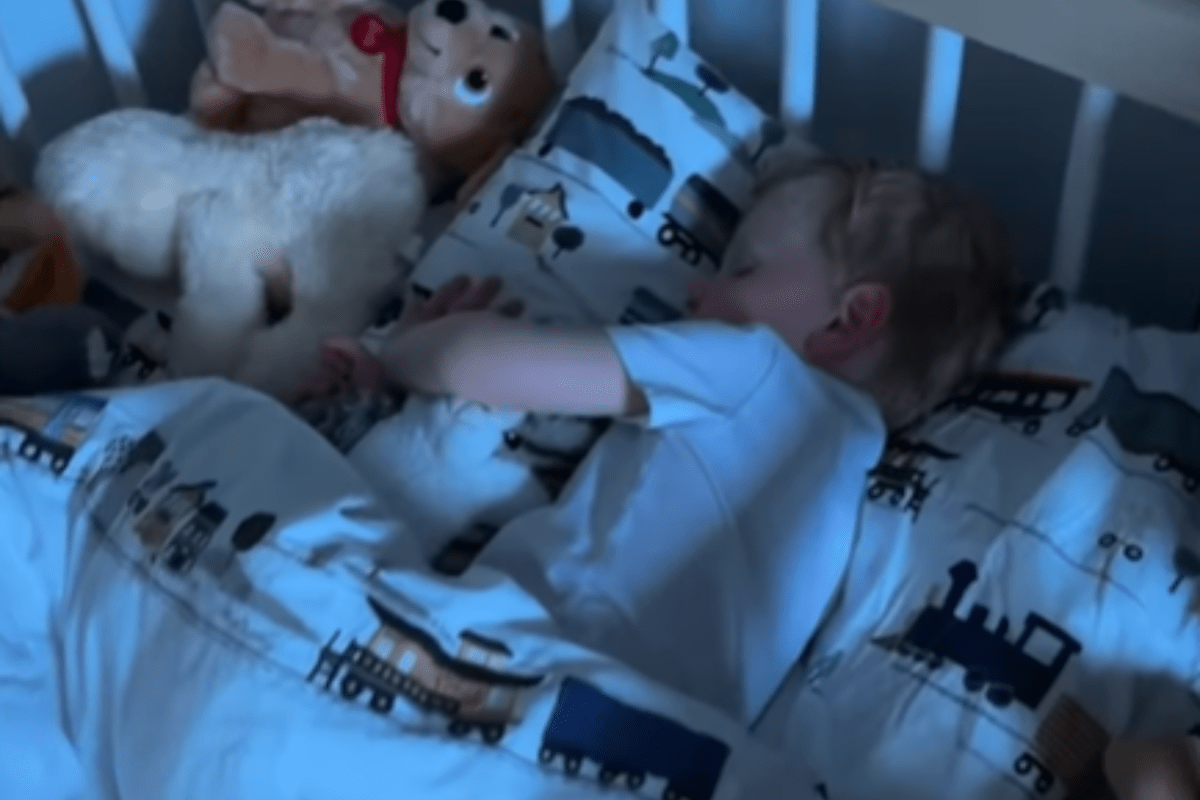 Parents Struggle To Wake Toddler From Nap—so They Recruit Unexpected Helper