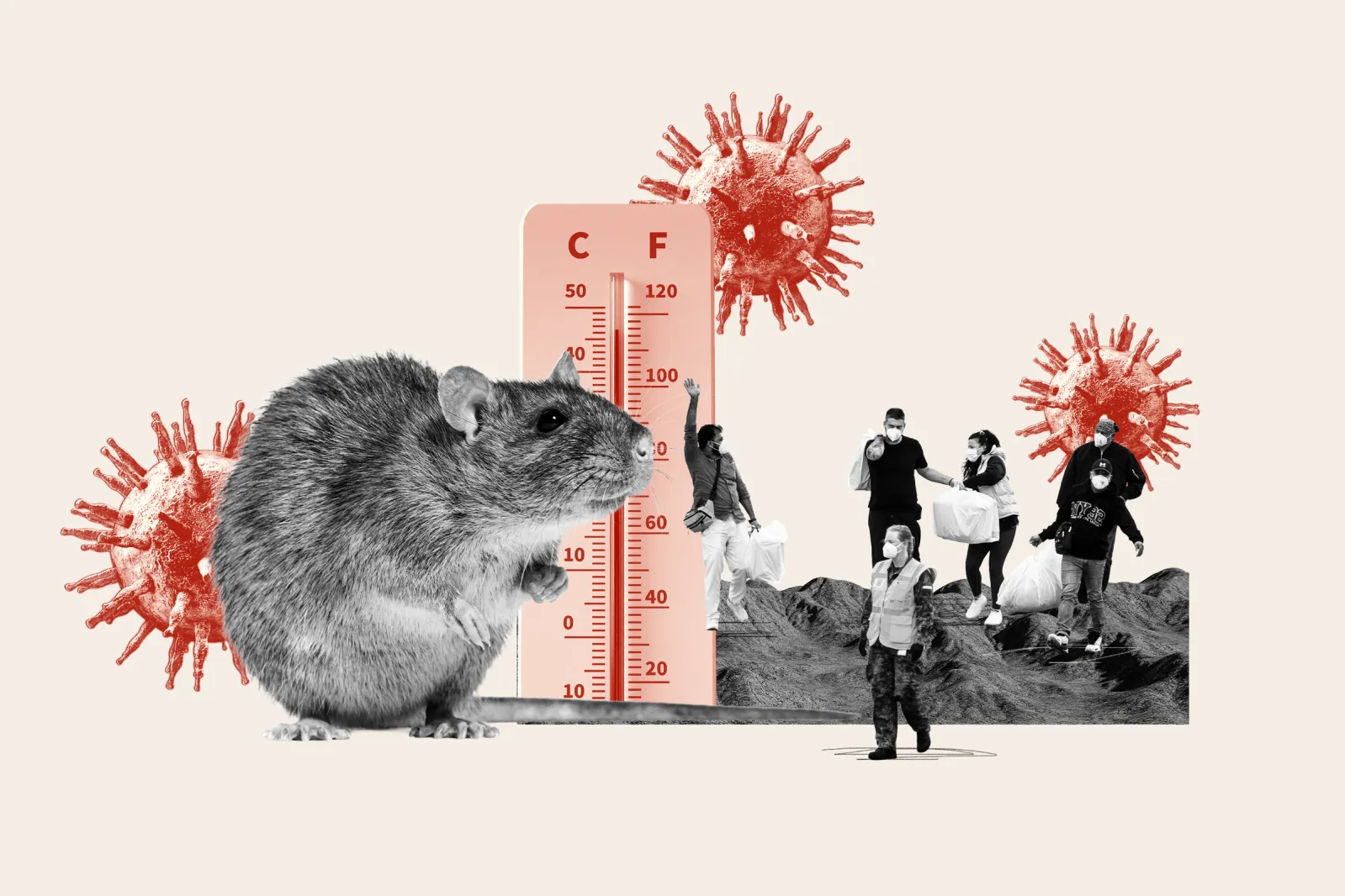 Super El Niño Could Mean More US Hantavirus Cases This Summer