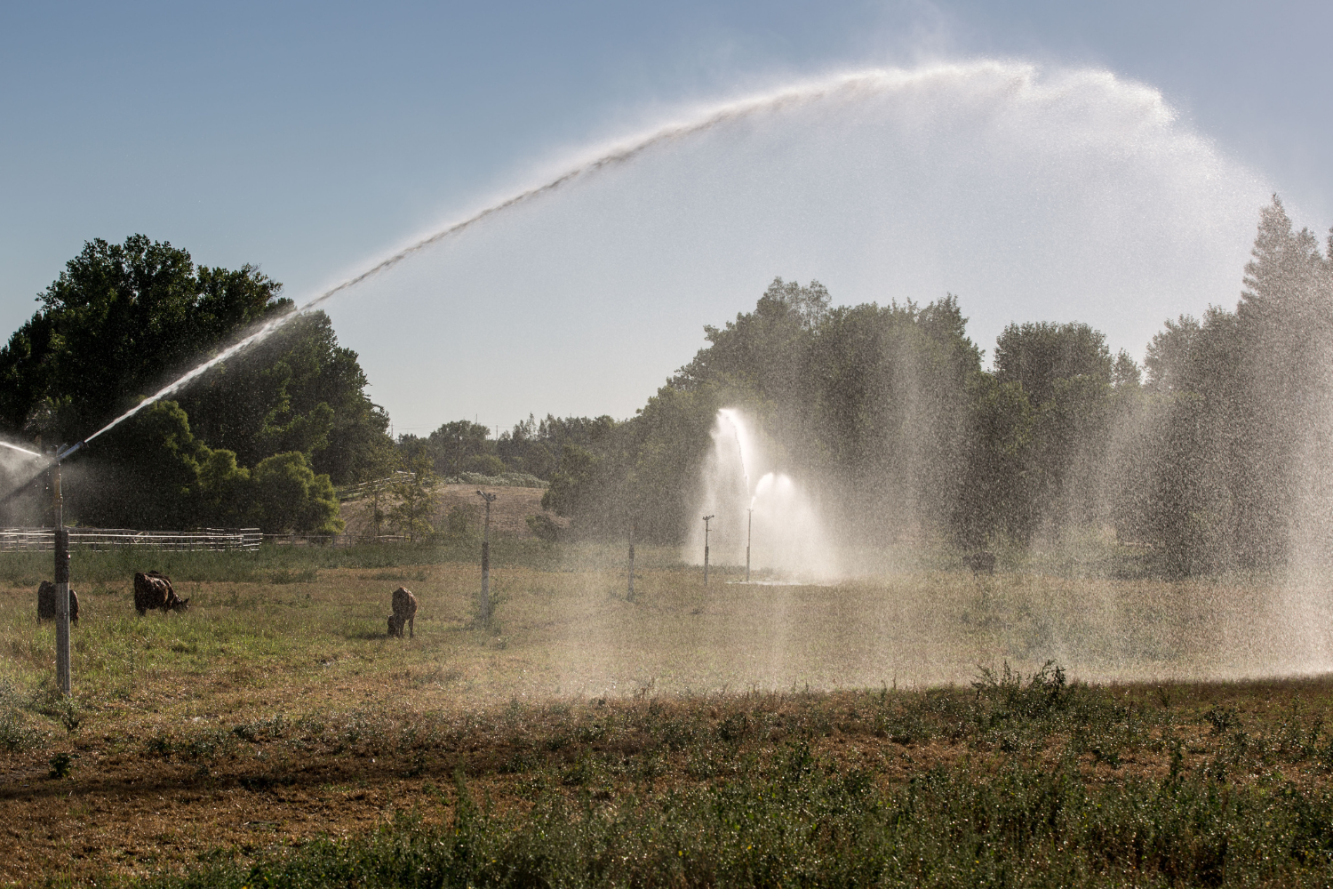 newsweek.com - Alice Gibbs - The largest US groundwater supply is running out