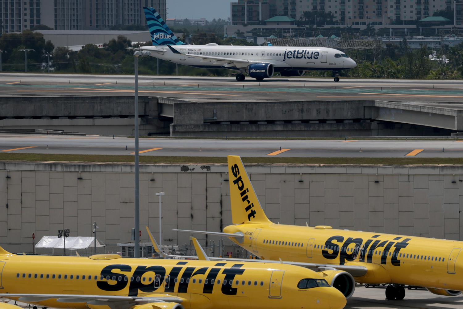 newsweek.com - Alice Gibbs - What happens when an airline collapses? Expert on Spirit shutdown