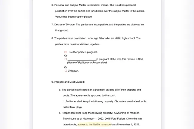 Who Gets the Netflix Password? Inside a Modern Divorce Settlement ...