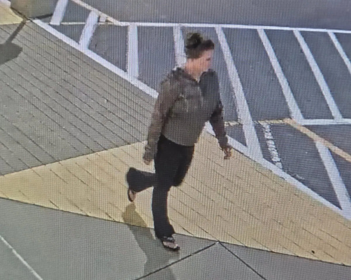 Image for article: Body Found Matching Elena Katherine Moore Clothing Description