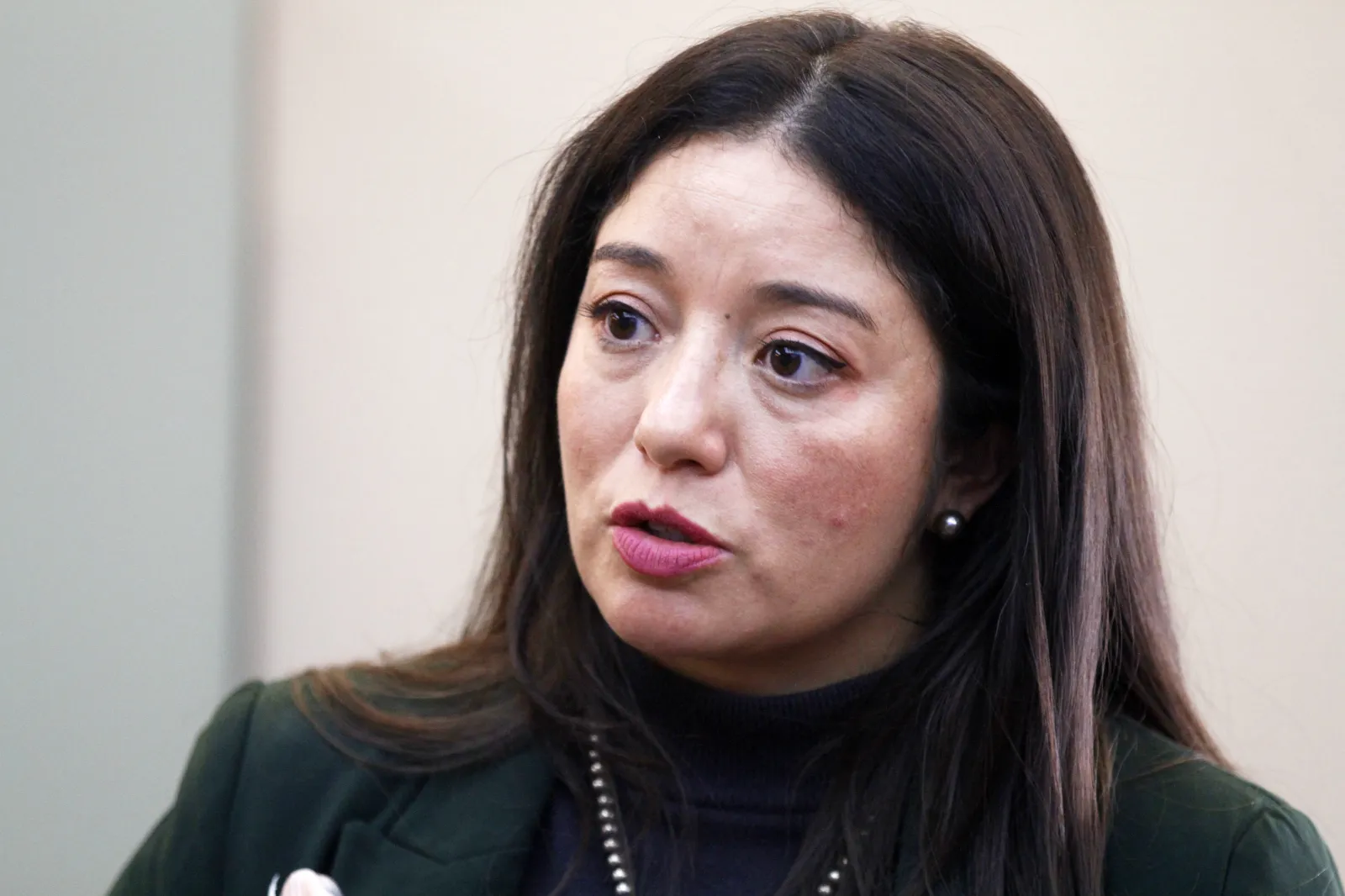 Democratic state Representative Andrea Romero talks about launching a bipartisan truth commission into activity at a secluded desert ranch where financier and sex offender Jeffrey Epstein once entertained guests, and whether local authorities looked the other way, on February 17, 2026, in Santa Fe, New Mexico.
