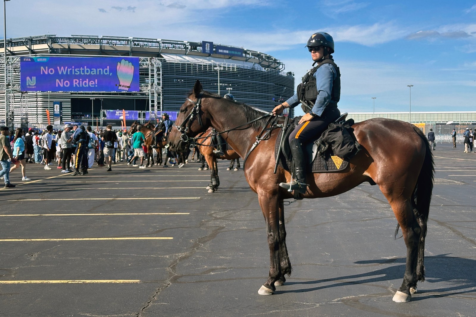 ISIS Calls for Lone-Wolf Attacks on World Cup Gatherings in US