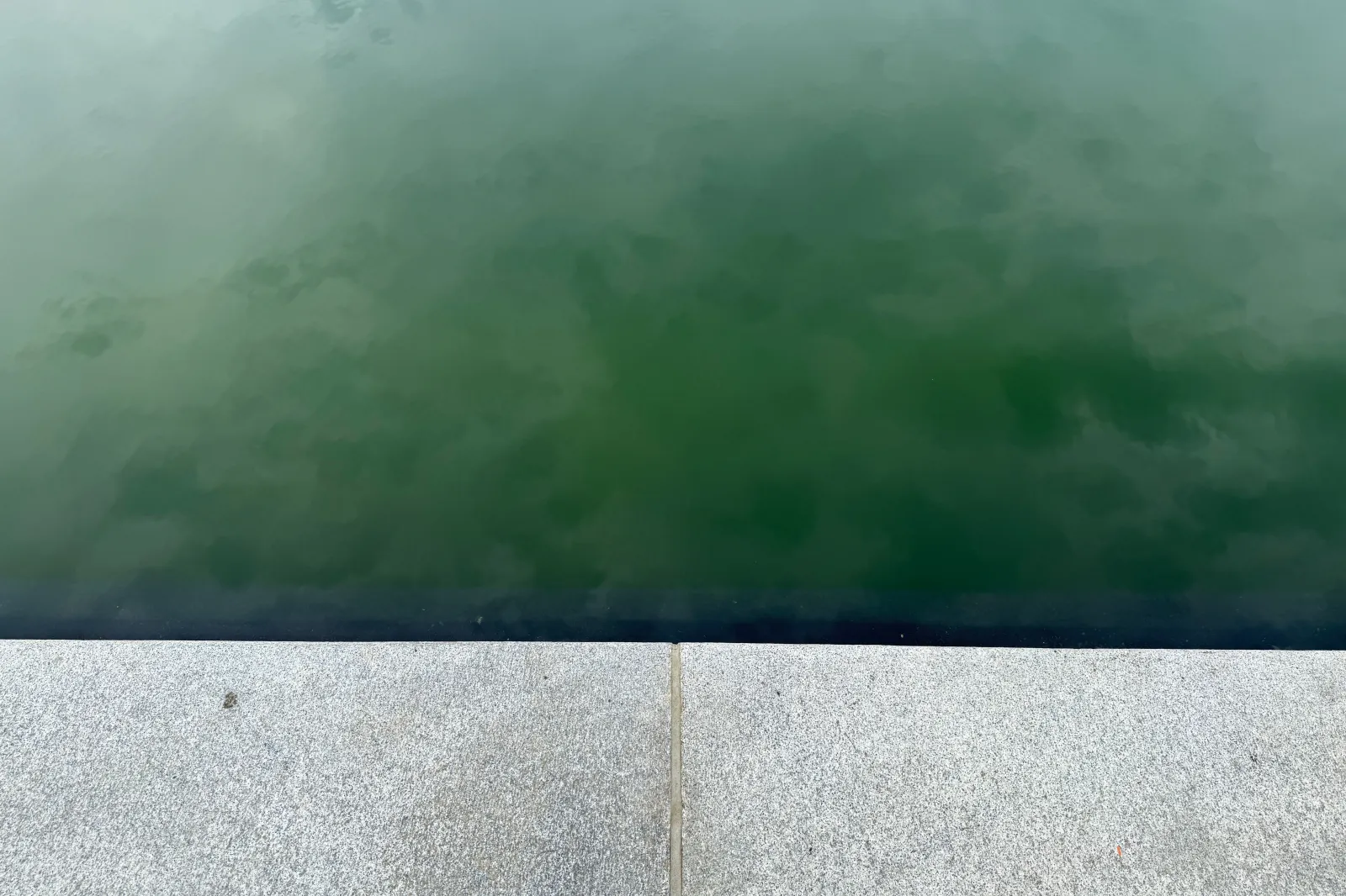 The Reflecting Pool in the heart of Washington is currently the subject of debate because of its green color on June 27. Photo by: Anna Ringle-Brändli/picture-alliance/dpa/AP Images