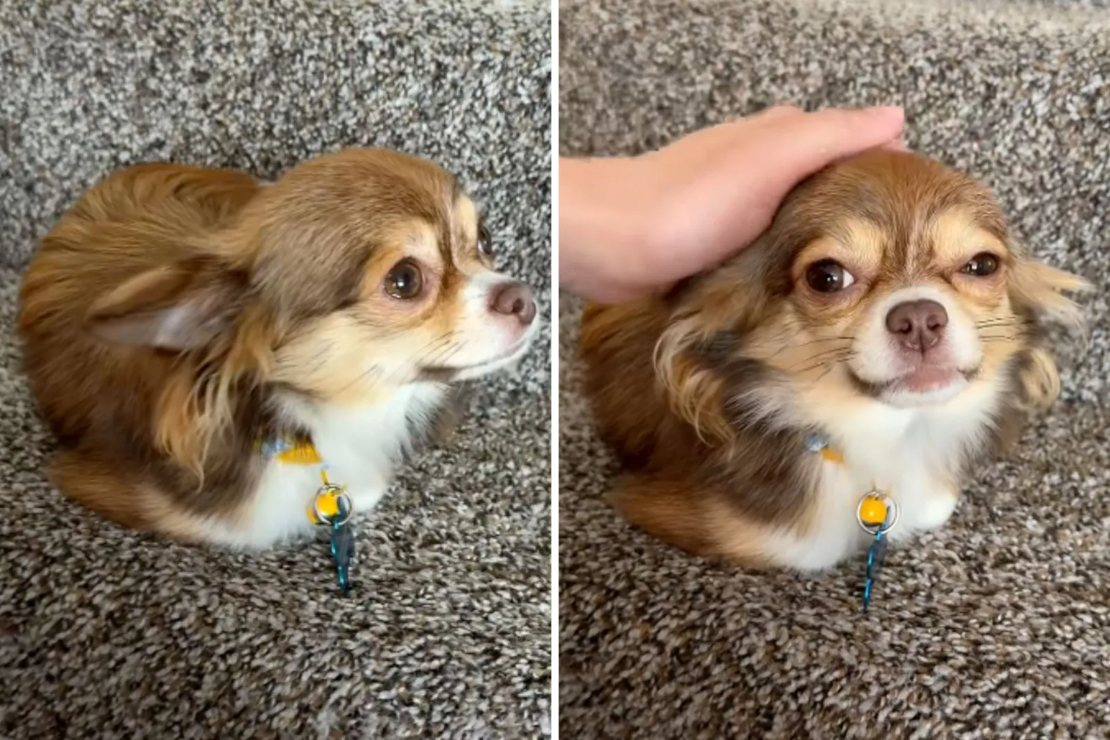 Copy-of-32-Split-Screen-48.jpg?w=1600&quality=80&webp=1